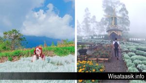 Taman Edelweiss Destinasi Wisata Hits dan Instagramable di Bali