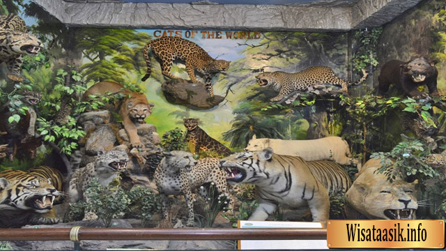 Rahmat International Wildlife Museum